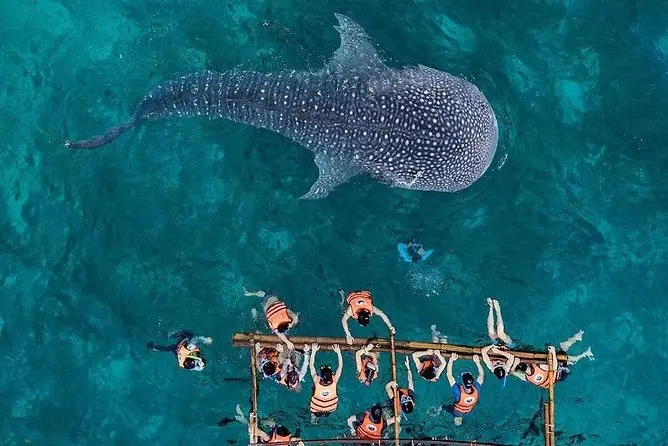 Palawan Travel Guides — Tour Z Blog — Tour Z Palawan