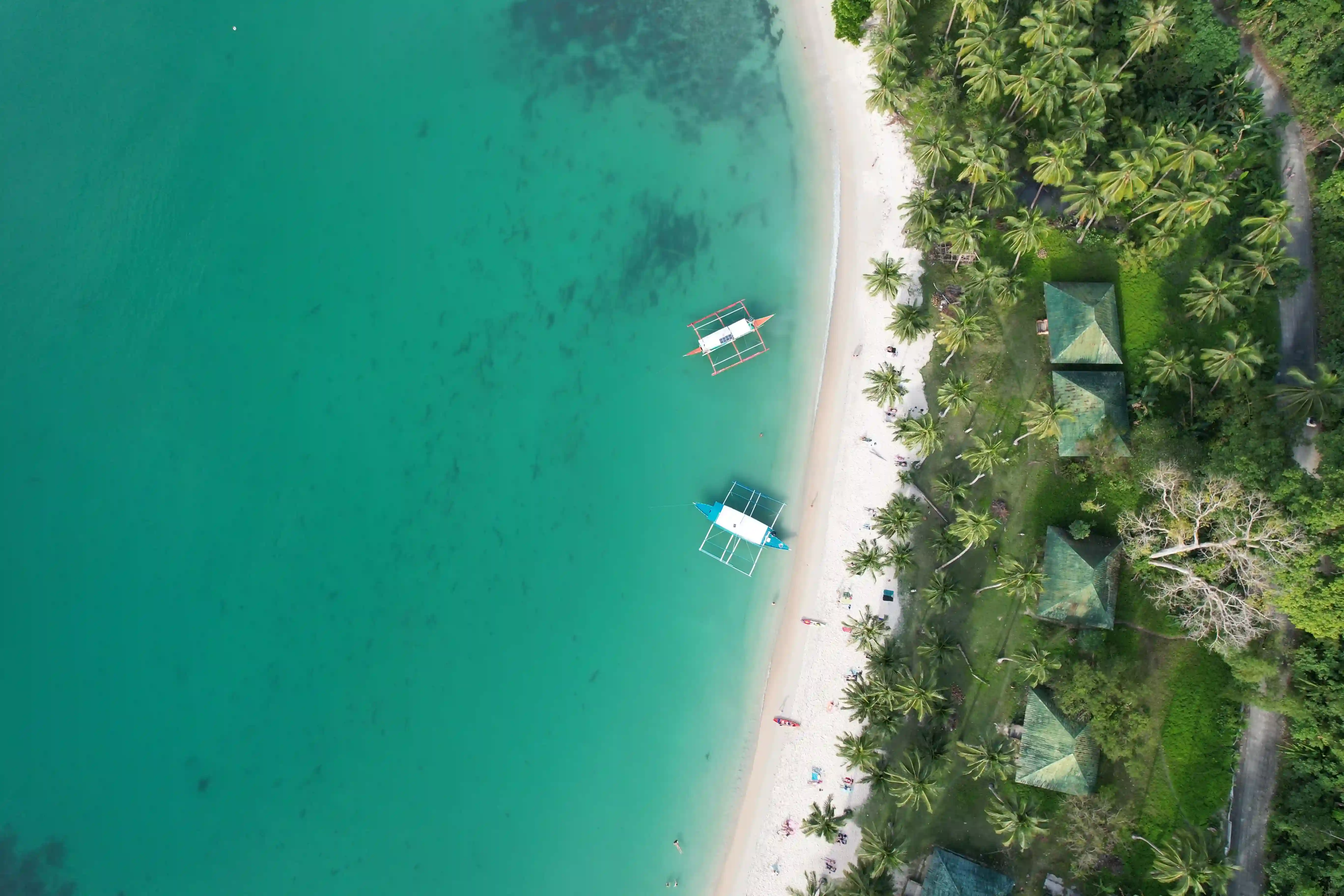 Aerial view of bangka boats in Port Barton lagoon, Palawan