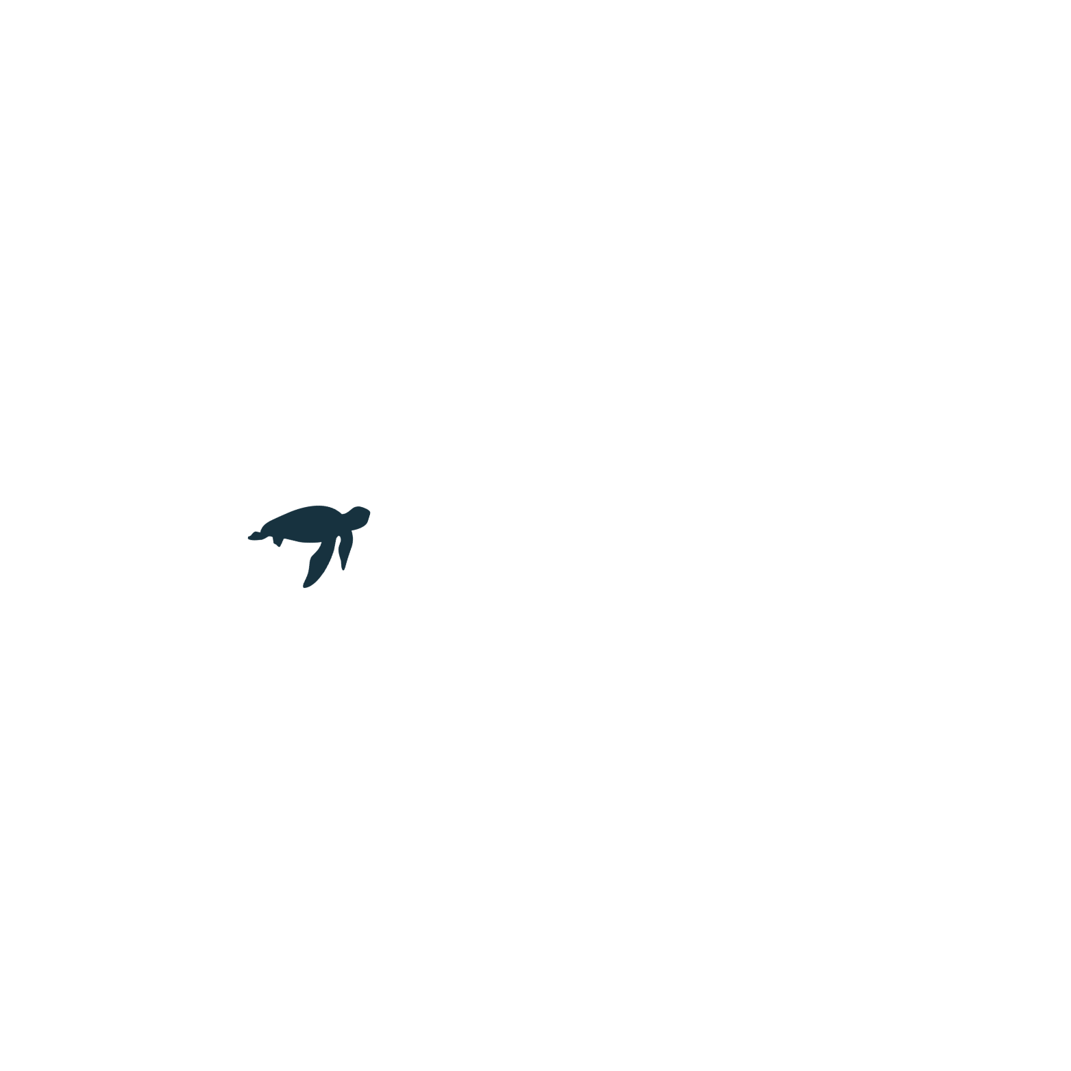 Tour Z Palawan