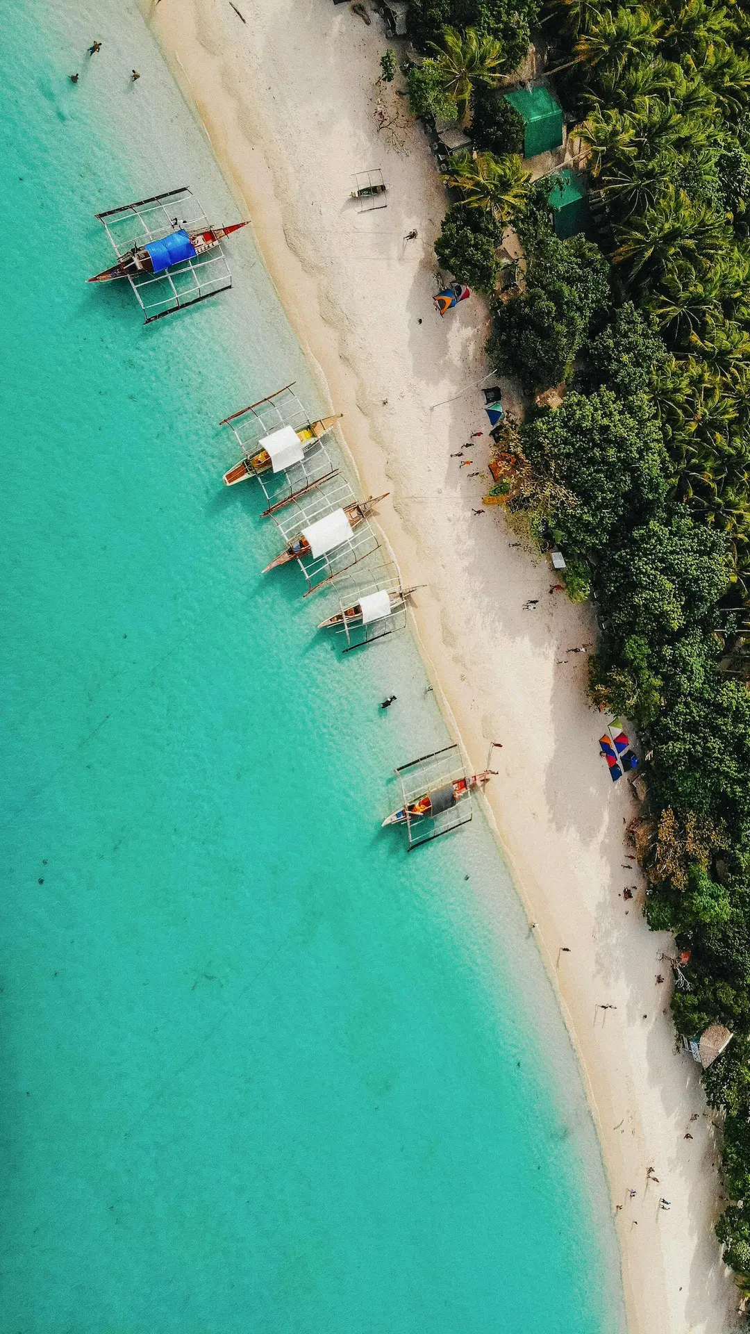 Aerial view of traditional bangka boats in Port Barton lagoon, Palawan